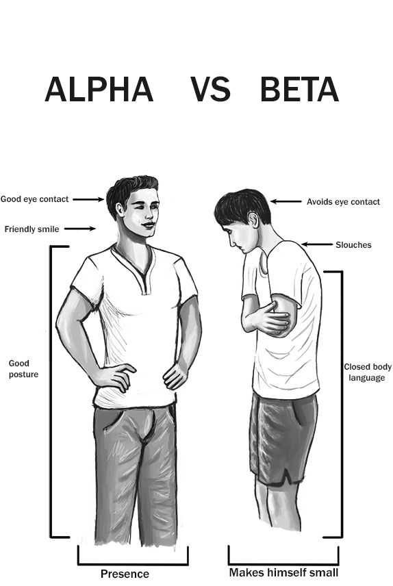 diagram of alpha male versus beta male 